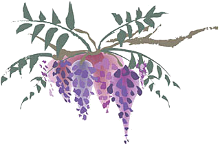 GUM04_CL01054.png GUM04_CL01054.png