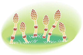 GUM04_CL01063.png GUM04_CL01063.png