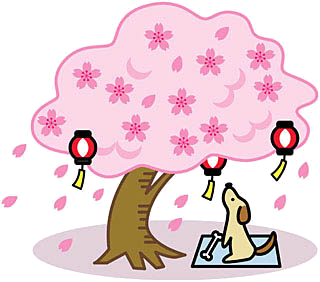 画像の説明 画像の説明