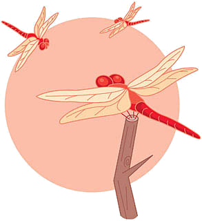 GUM04_CL11004.png GUM04_CL11004.png
