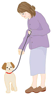 画像の説明 画像の説明