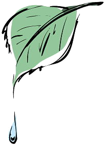 NAT017.png NAT017.png