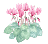 ★わたしたちのためイエスさまの出来事